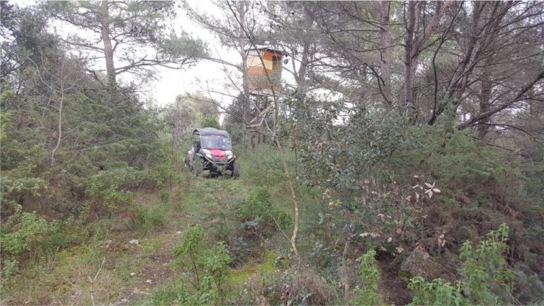 buggy safari bol, buggy safari supetar, rent buggy supetar, rent buggy bol, najma buggy bol, najam buggy supetar, island tour, brac acticvity