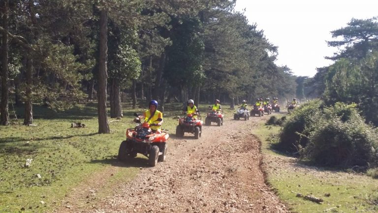 quad safari team building vidova gora off road