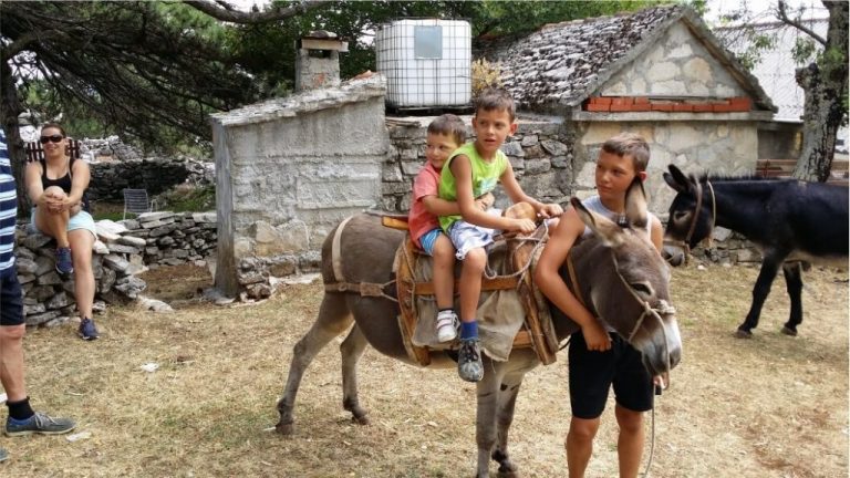 quad safari supetar, quad safari supetar gastro, quad safari bol, rent a quad supetar, rent a quad bol, najam quad bol, najma quad supetar, brac adventure, island tour, gastro tour